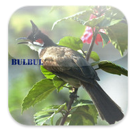 Captura de pantalla 2012-03-31 a la(s) 10.51.03