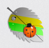 Captura de pantalla 2013-06-19 a la(s) 06.55.00